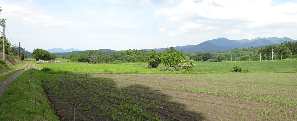 上ノ原地区の現況の画像