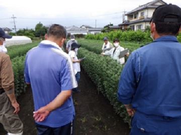 現地研修会の画像