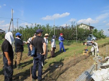 電気柵の設置状況を確認する参加者の画像