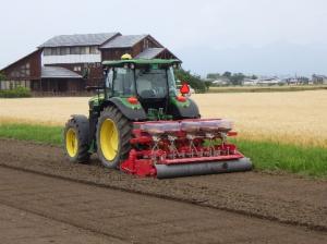 乾田直播による飼料用米の生産の画像1