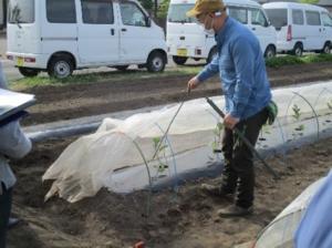 「露地なす」新規栽培者向け勉強会の開催の画像2