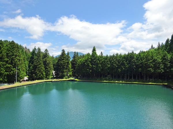 農業用ため池（新田貯水池）の画像