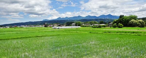 用水路を管理し水田を潤す土地改良区の画像