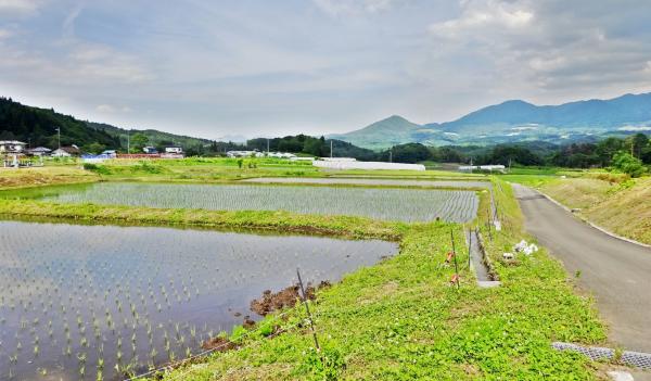 農村整備が完了した地区の画像