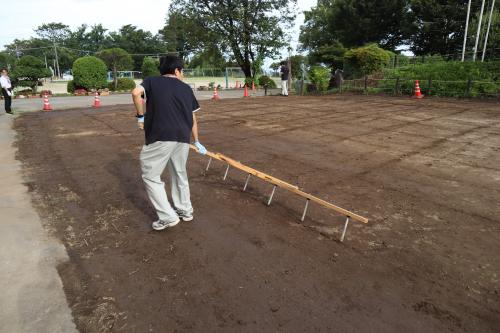 令和5年7月13日の写真