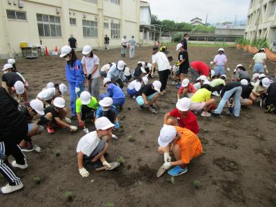 令和5年7月14日の写真