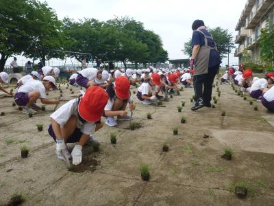 令和5年6月27日の写真