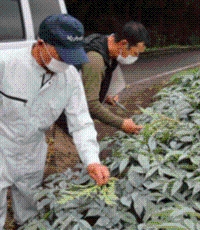 赤城地区ほ場視察の様子の画像