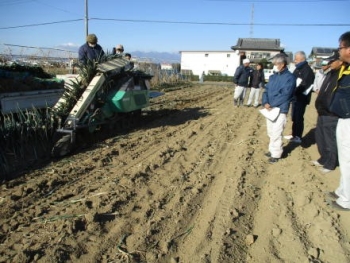 機械での掘り取りを見学写真