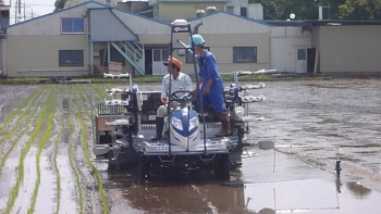 両手を離しても直進する田植え機写真