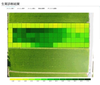 解析画像空撮画像の葉色解析の写真