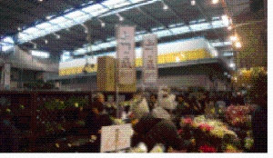 大田市場でのPR写真2