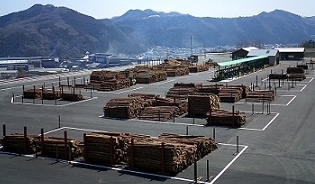 原木市場の貯木場の写真