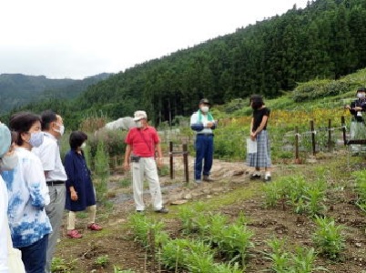 ほ場を見学する様子の画像