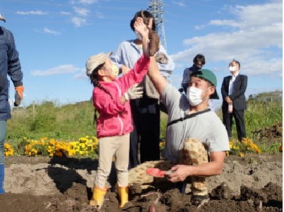 親子で楽しく収穫体験の画像