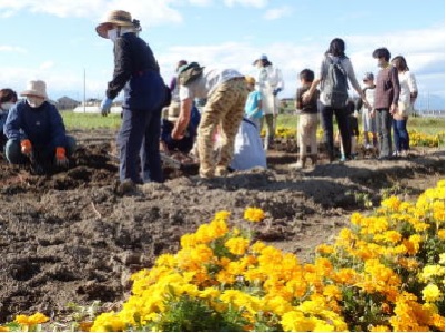 サツマイモほ場での交流の様子の画像