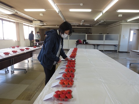 苺トマト共進会の写真1
