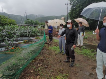 露地ナス新規栽培者現地講習会1画像