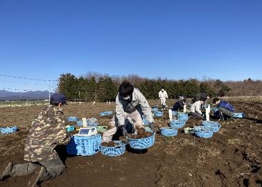 堀取調査画像