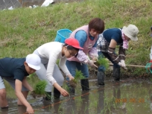 田植えの様子写真