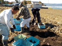 共進会生産物審査の様子写真