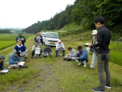 水稲講習会の様子写真