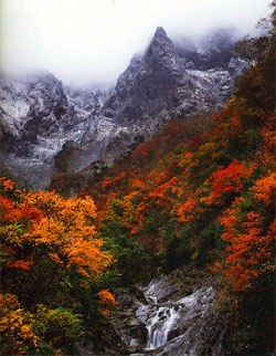 谷川岳の写真