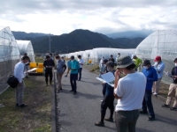 「若手トマト生産者現地研修会」の様子写真