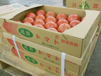 市場評価の高い尾瀬トマトの写真