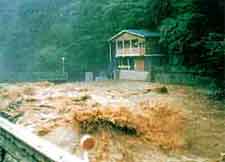 台風による出水状況の写真