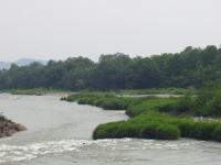 渡良瀬川沿いの水害防備保安林