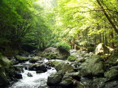 写真：川の流れ