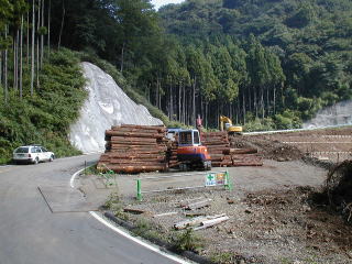 作業道から林内作業車で搬出した木材を林道へ集積写真