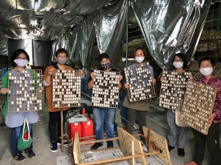 繭の選別体験の様子写真