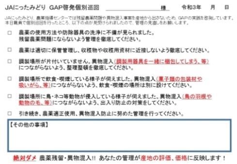 ＧＡＰ巡回指導票の画像