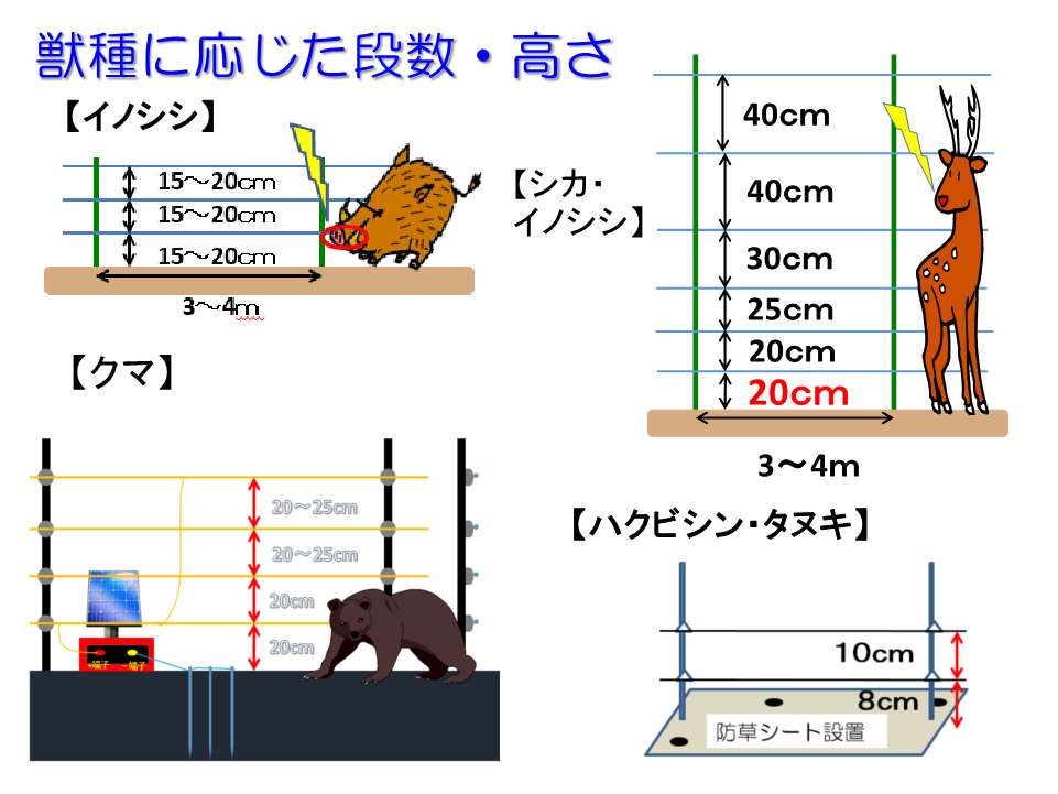 配布した資料（獣害対策）の画像