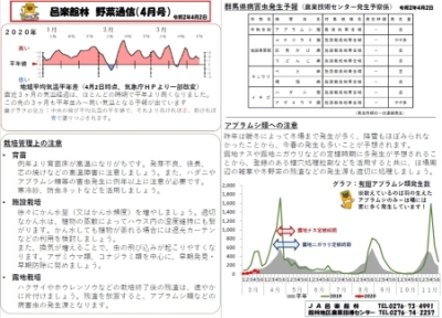 野菜通信（4月号）の写真