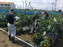 館林会場の様子の写真