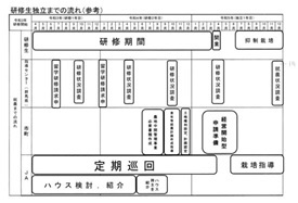 研修から独立までのイメージ図の写真