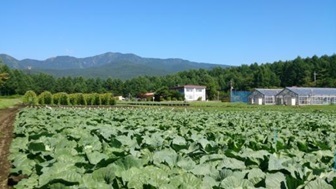 高冷地野菜研究センターの試験ほ場の写真