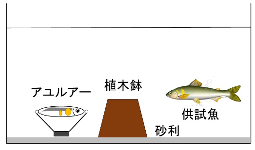 図1水槽模式図画像