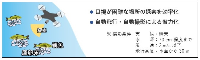 図1産卵床の探索にドローンを導入の画像