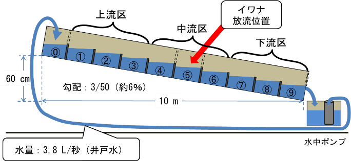 人工水路の概要図の画像