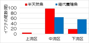 濁水時における各系統のイワナの尾数の画像