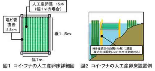 図1、図2（図1：コイ・フナの人工産卵床詳細図、図2：コイフナの人工産卵床設置例）の画像