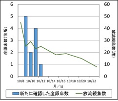 図2産卵床数と放流親魚数画像