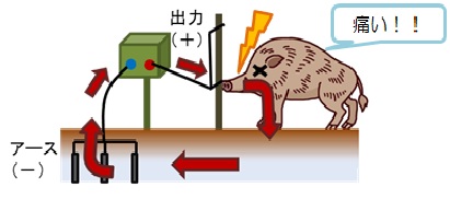 電気柵の仕組みの画像