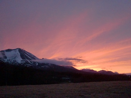 草地からの風景