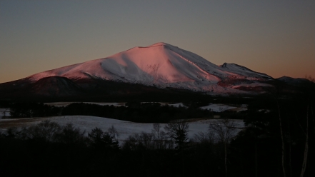 お正月色の浅間山の写真