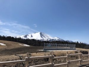 見晴らしまきば(4月上旬)の写真